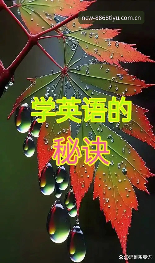 8868体育官网登录完整指南：从下载到实战的高效操作手册